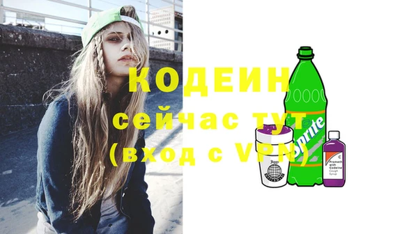дурь Алексин