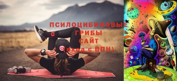 ГАЛЛЮЦИНОГЕННЫЕ ГРИБЫ Алексеевка
