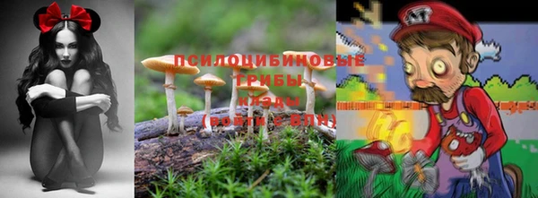 дурь Алексин