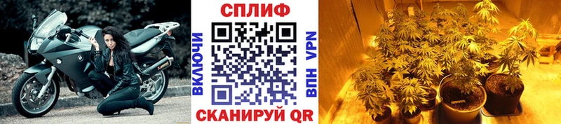 Каннабис Amnesia  площадка состав  Пикалёво 